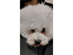 生徒が撮影！送ってくれた写真です☆